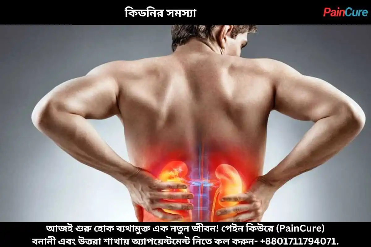 কিডনির সমস্যা