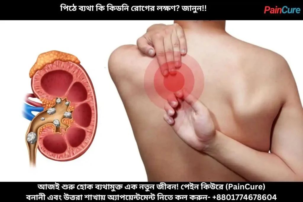 পিঠে ব্যথা কি কিডনি রোগের লক্ষণ জানুন!!