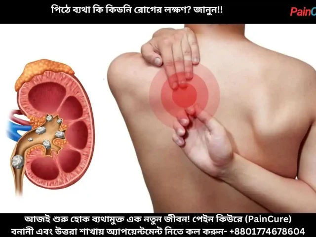 পিঠে ব্যথা কি কিডনি রোগের লক্ষণ জানুন!!