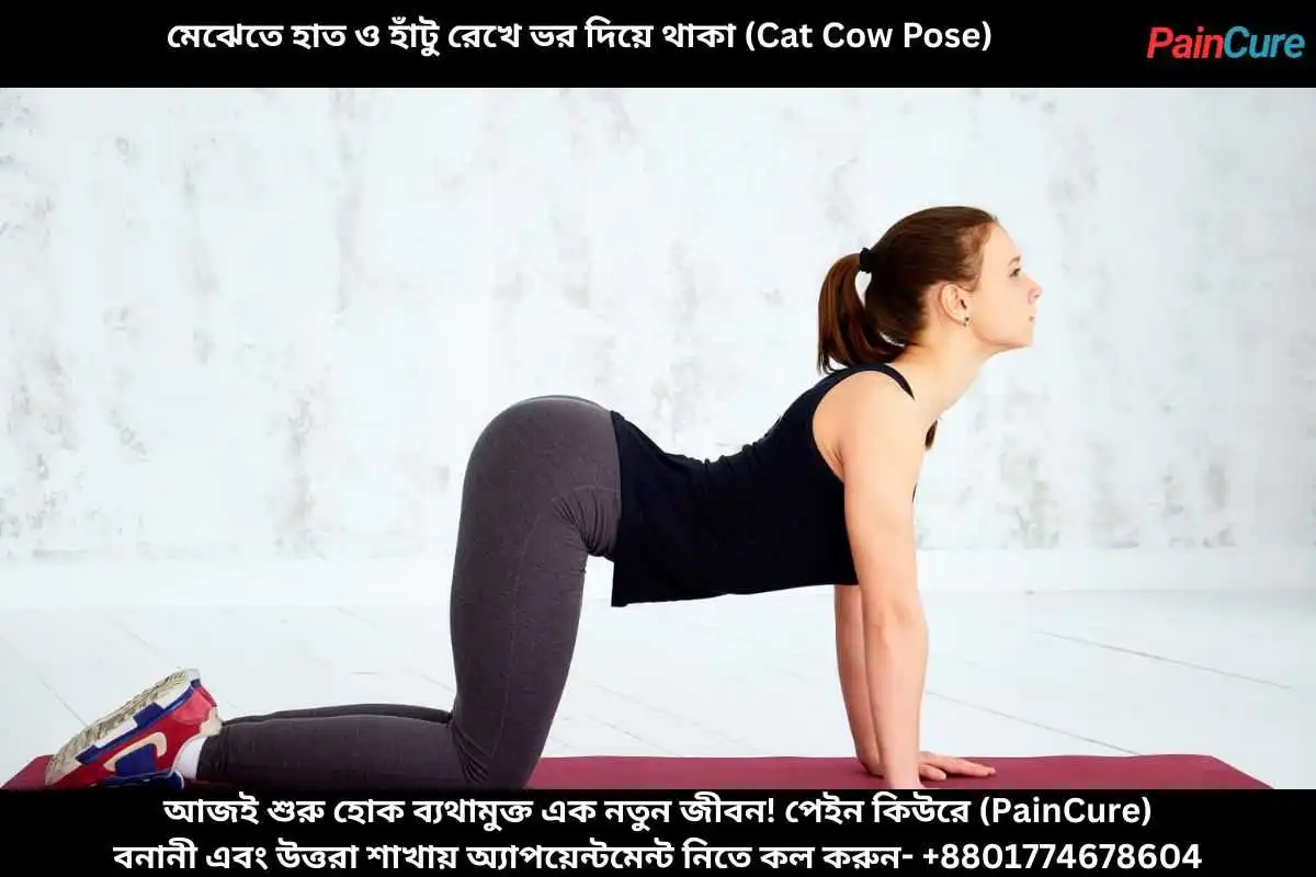 মেঝেতে হাত ও হাঁটু রেখে ভর দিয়ে থাকা (Cat Cow Pose)