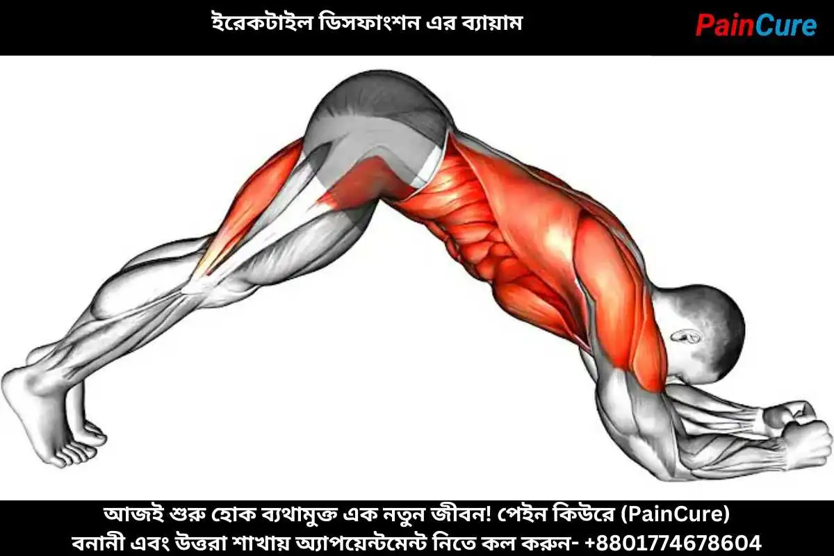 ইরেকটাইল ডিসফাংশন এর ব্যায়াম