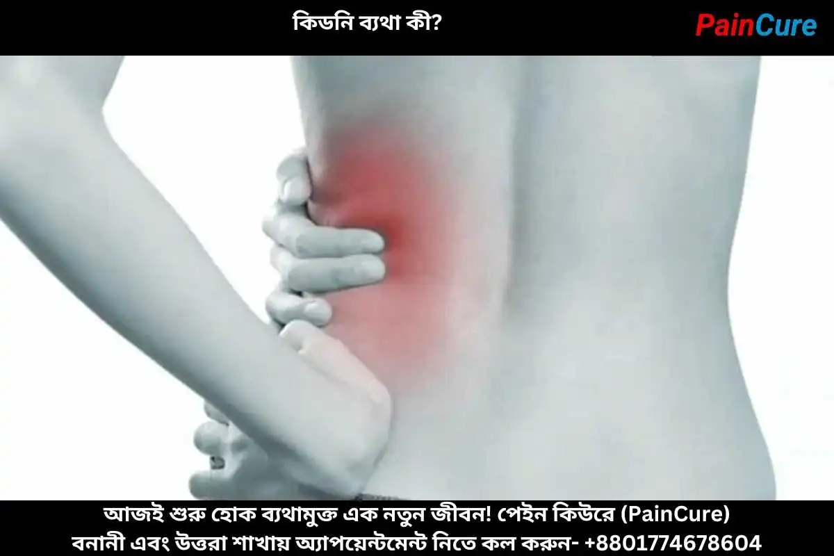 কিডনি ব্যথা কী?