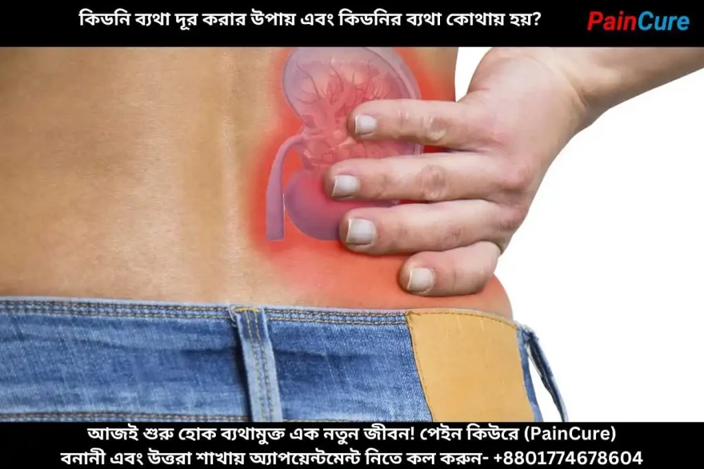 কিডনি ব্যথা দূর করার উপায় এবং কিডনির ব্যথা কোথায় হয়?