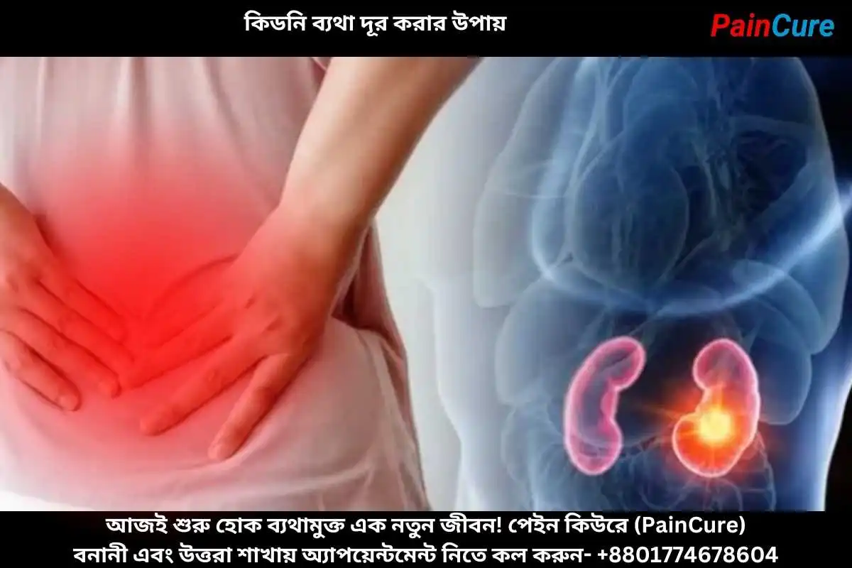 কিডনি ব্যথা দূর করার উপায়