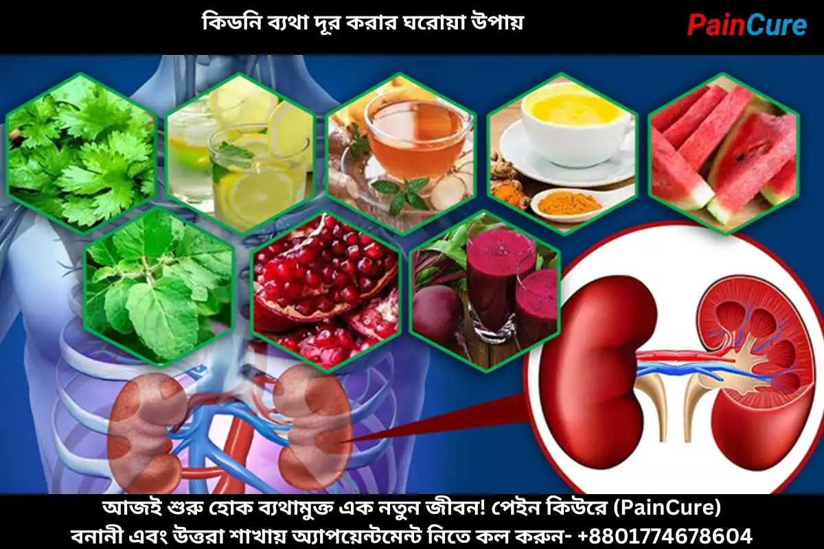 কিডনি ব্যথা দূর করার ঘরোয়া উপায়