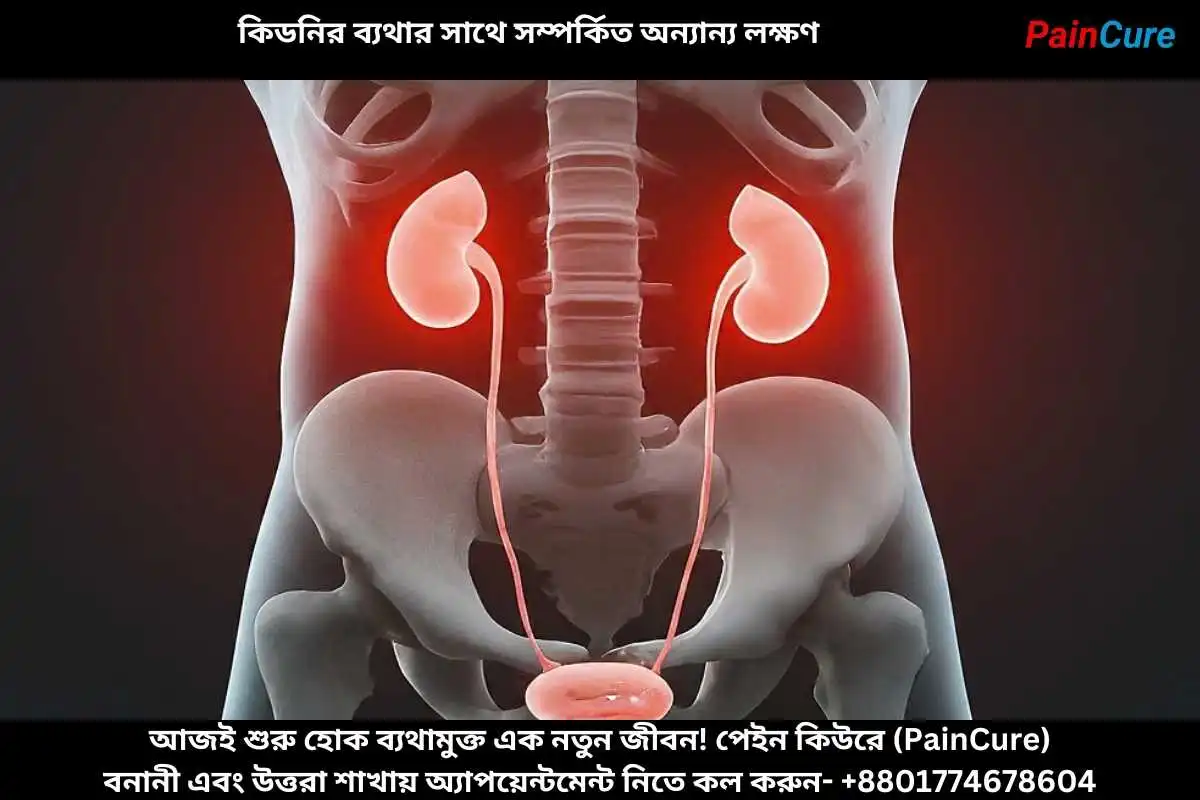 কিডনির ব্যথার সাথে সম্পর্কিত অন্যান্য লক্ষণ