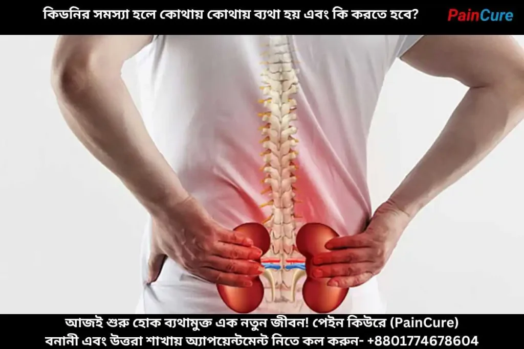 কিডনির সমস্যা হলে কোথায় কোথায় ব্যথা হয় এবং কি করতে হবে?