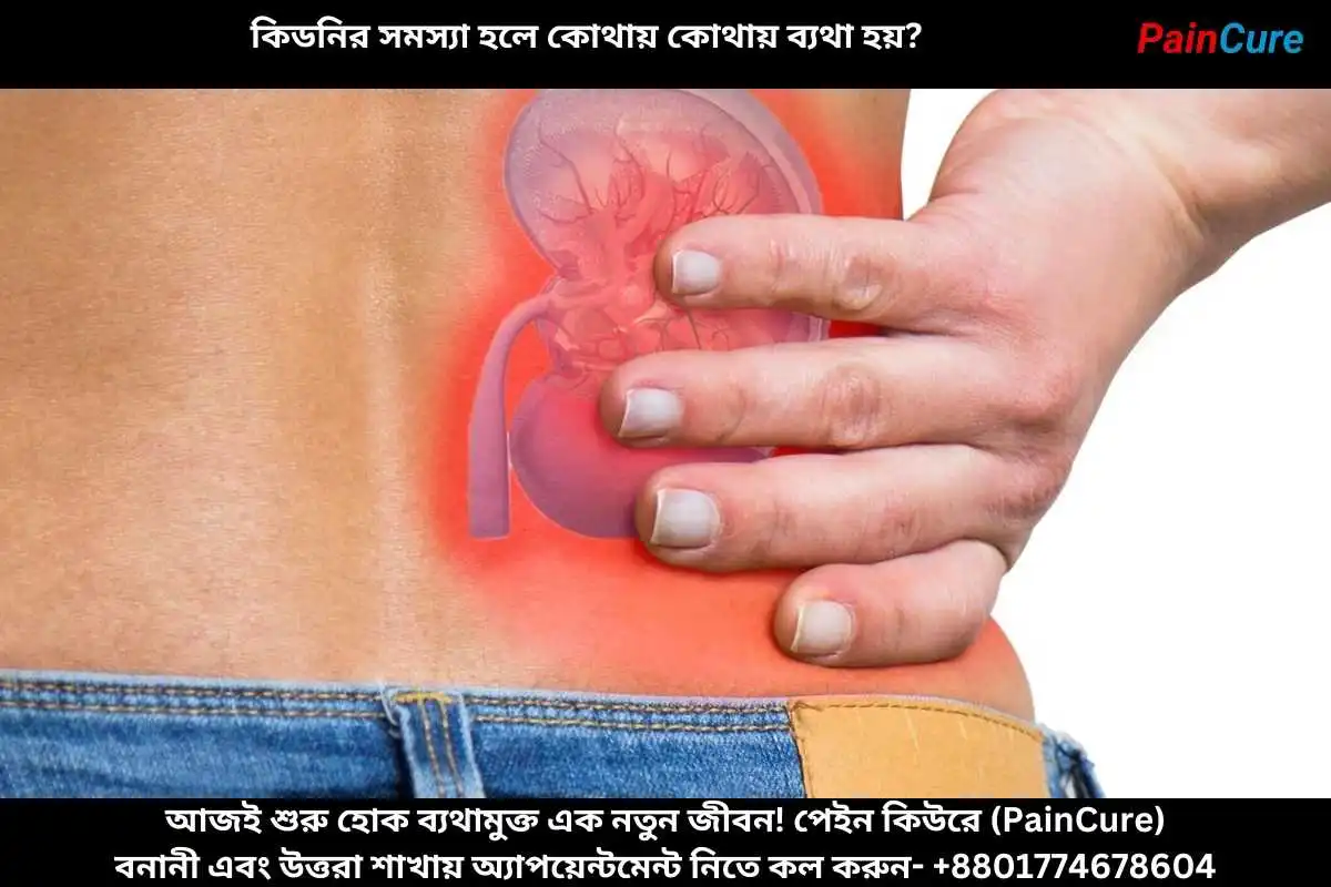 কিডনির সমস্যা হলে কোথায় কোথায় ব্যথা হয়?