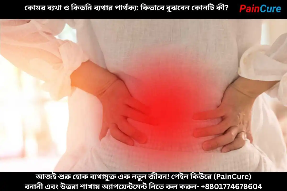 কোমর ব্যথা ও কিডনি ব্যথার পার্থক্য কিভাবে বুঝবেন কোনটি কী?