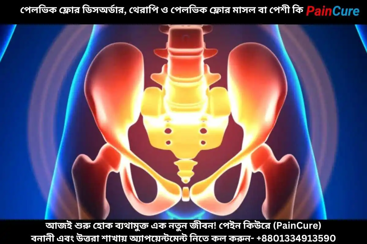 পেলভিক ফ্লোর ডিসঅর্ডার, থেরাপি ও পেলভিক ফ্লোর মাসল বা পেশী কি