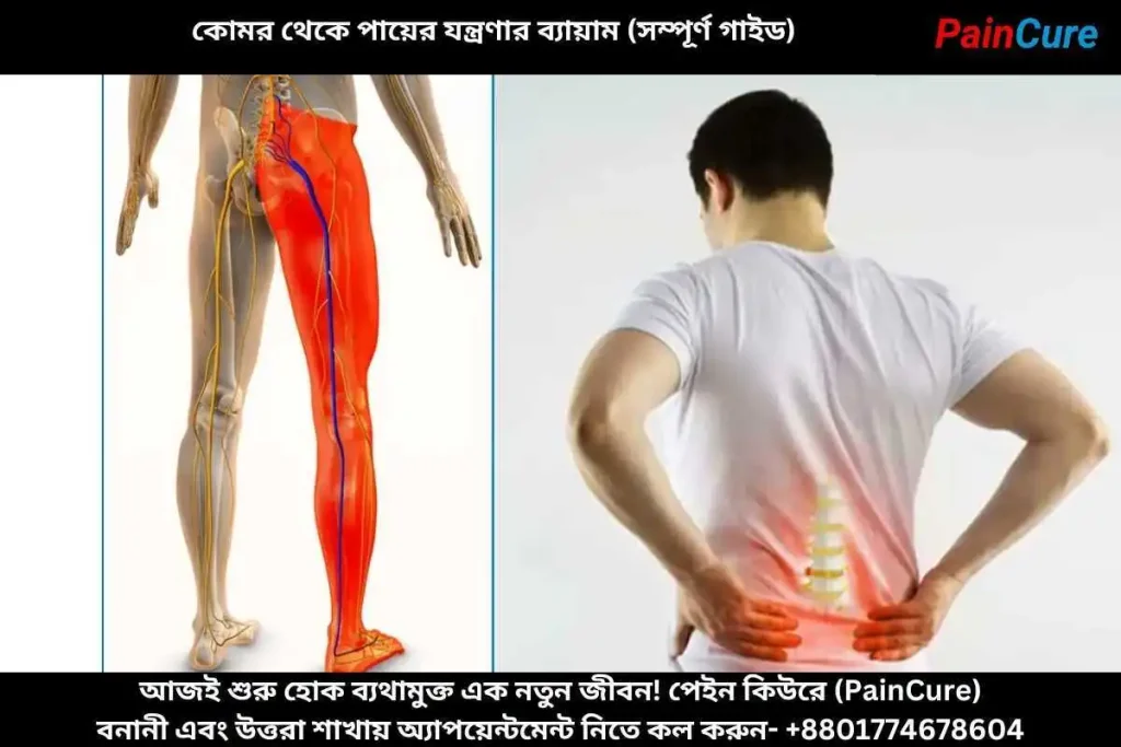 কোমর থেকে পায়ের যন্ত্রণার ব্যায়াম (সম্পূর্ণ গাইড)